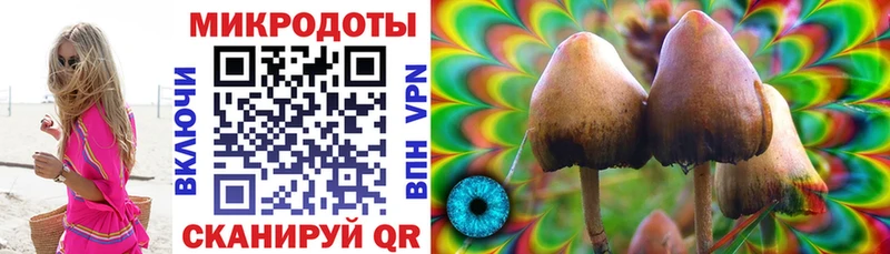 Псилоцибиновые грибы MAGIC MUSHROOMS  купить  сайты  Назрань 